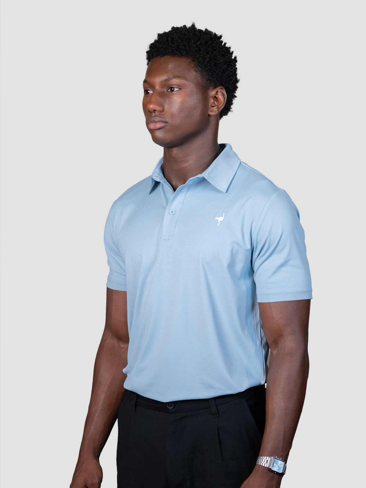 Polo Heritage