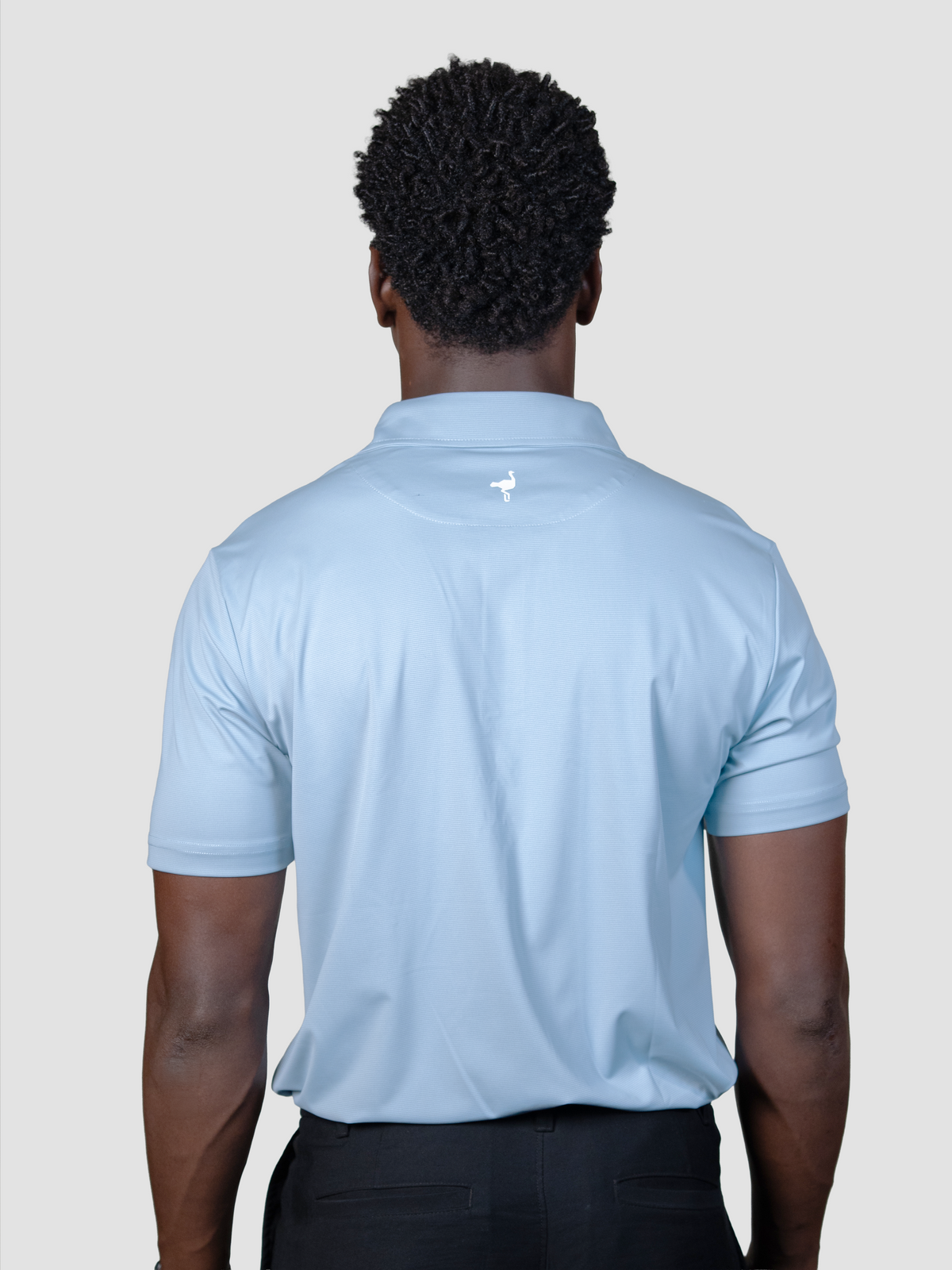 Polo Heritage