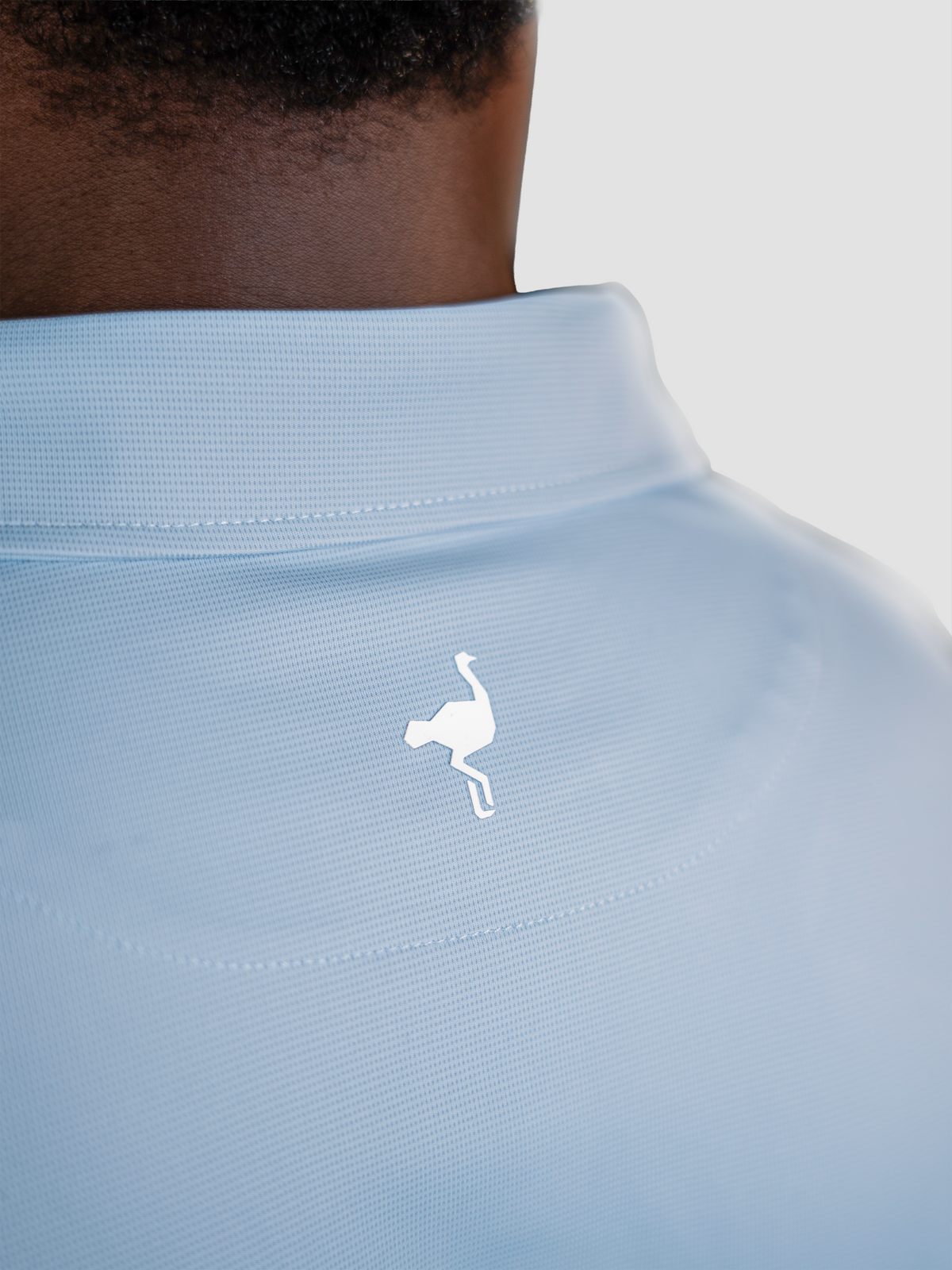 Polo Heritage