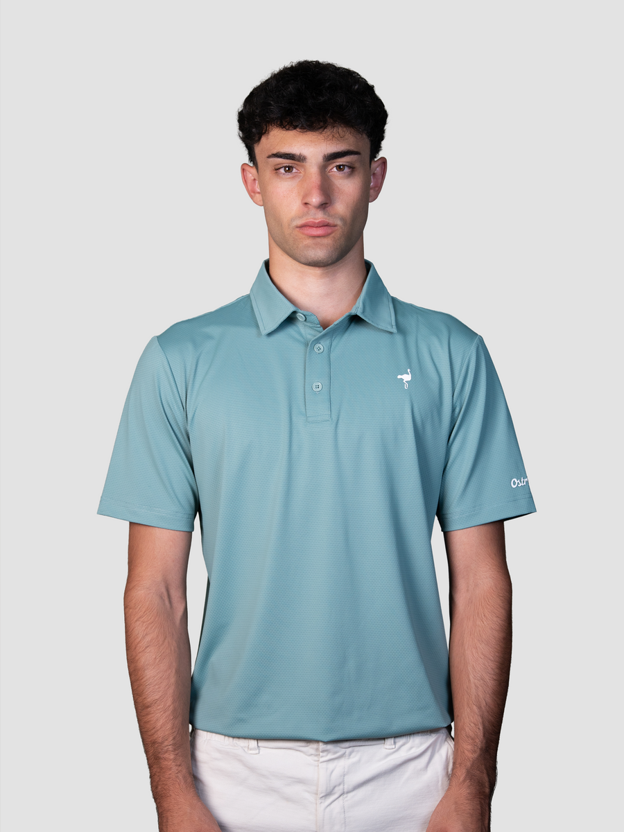 Polo Windsor Light
