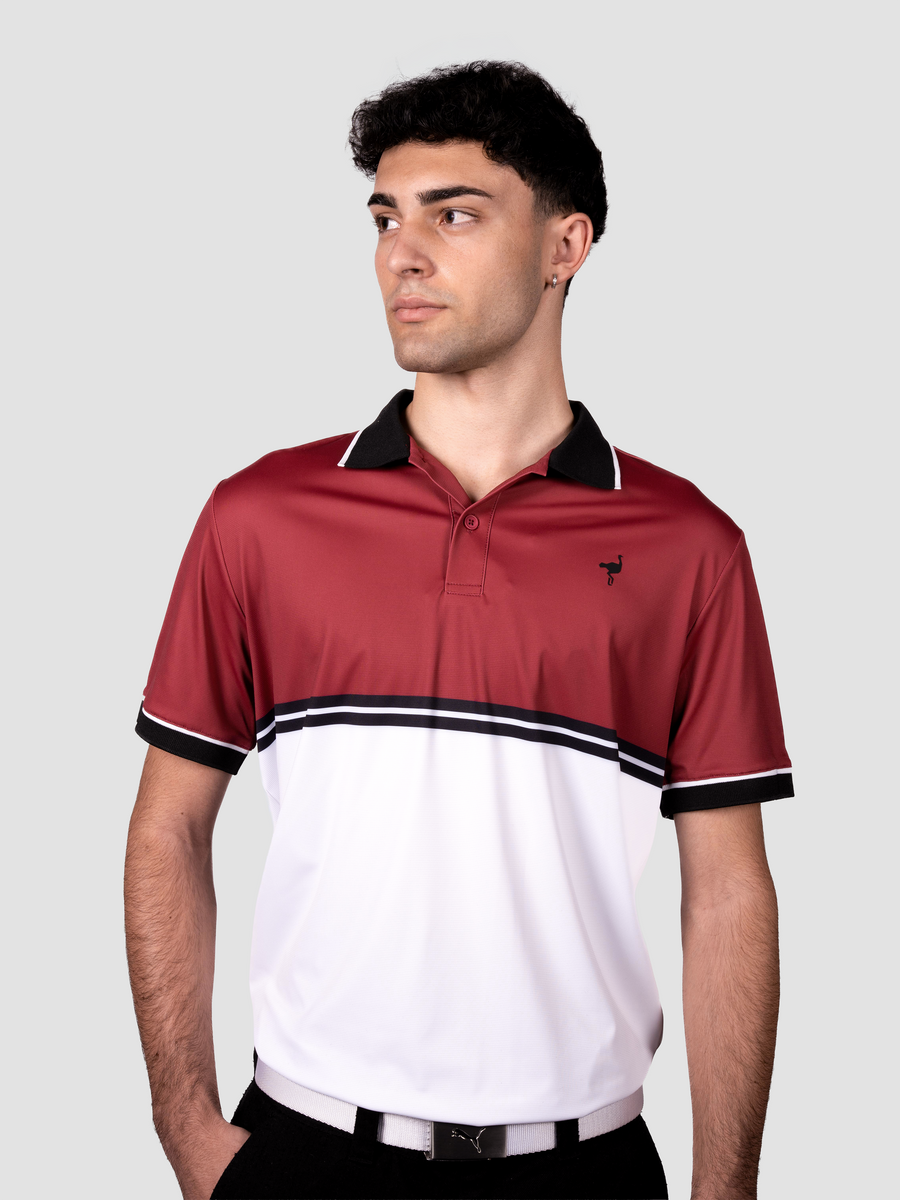Polo Dynamic