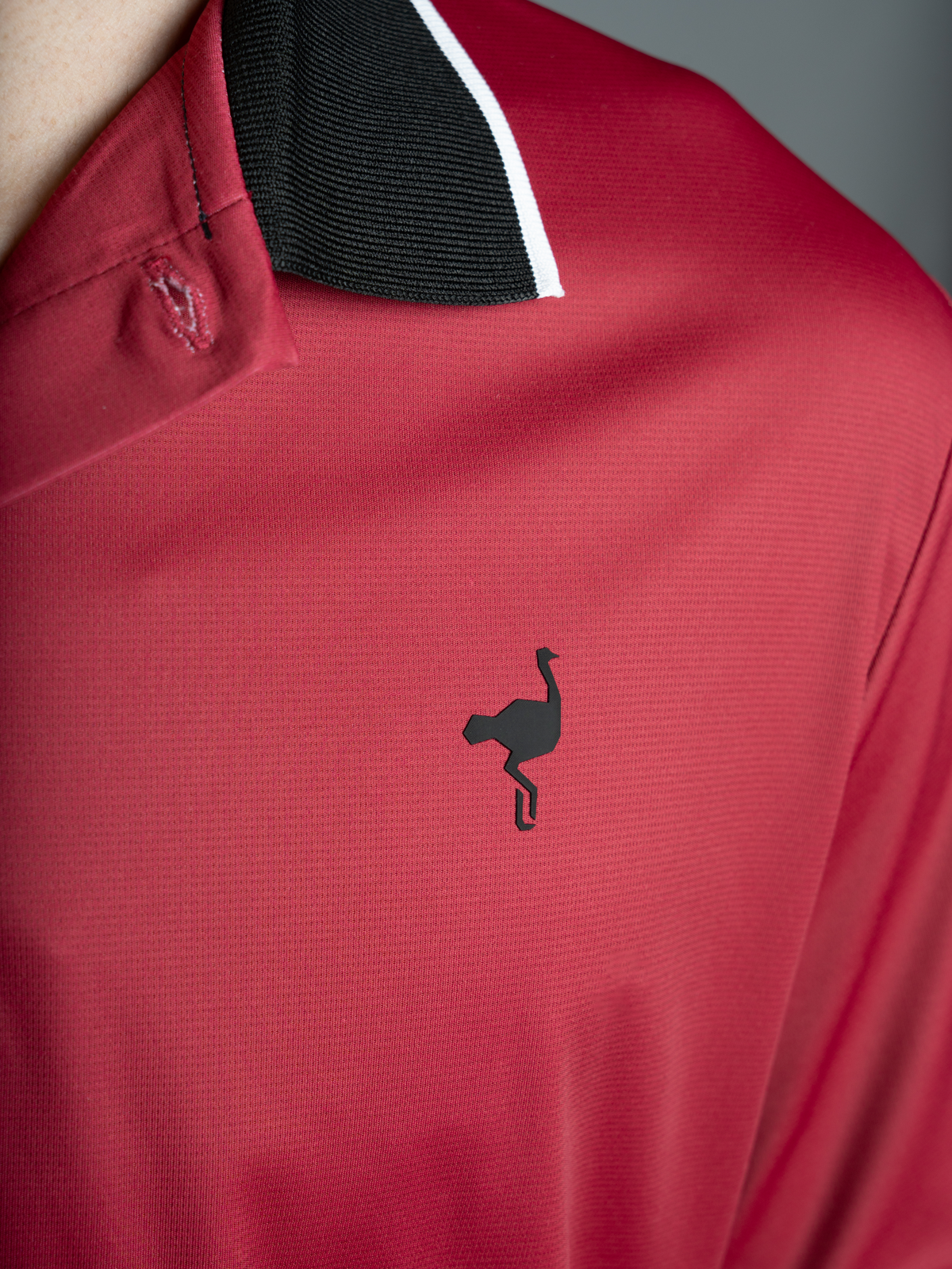 Polo Dynamic