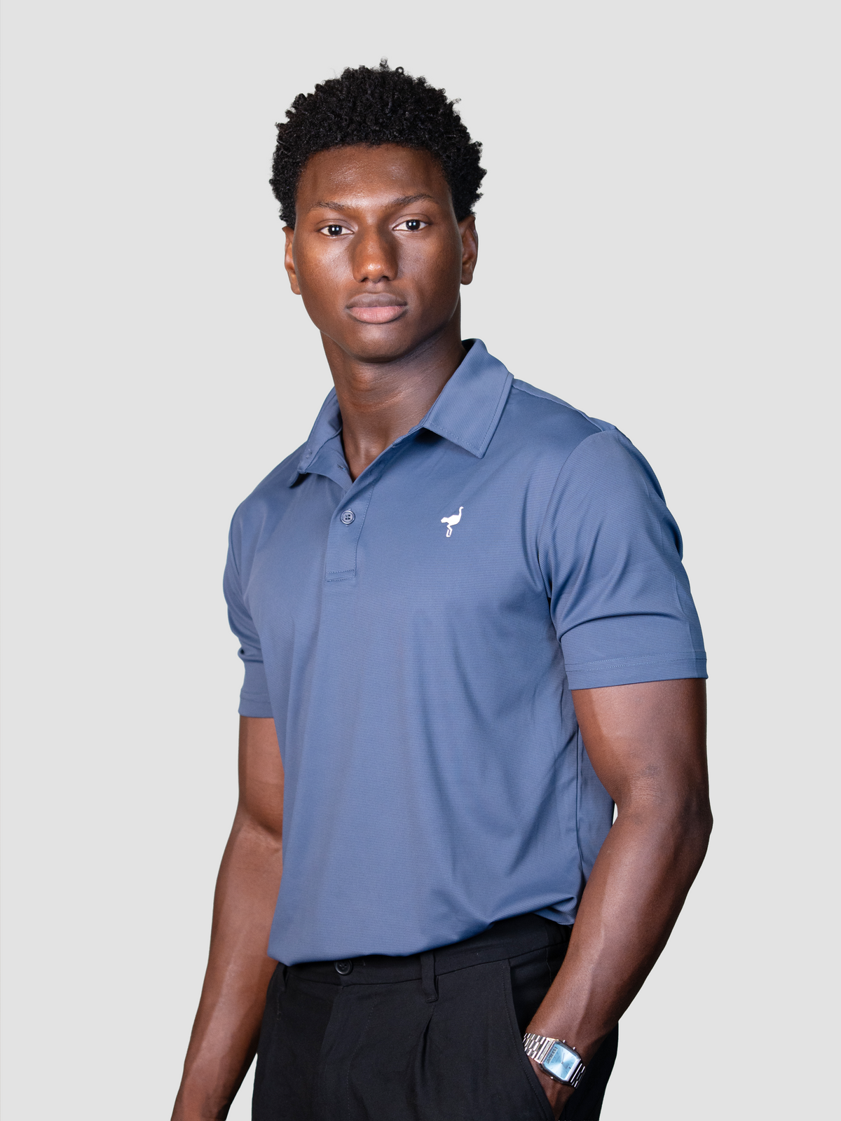 Polo Heritage
