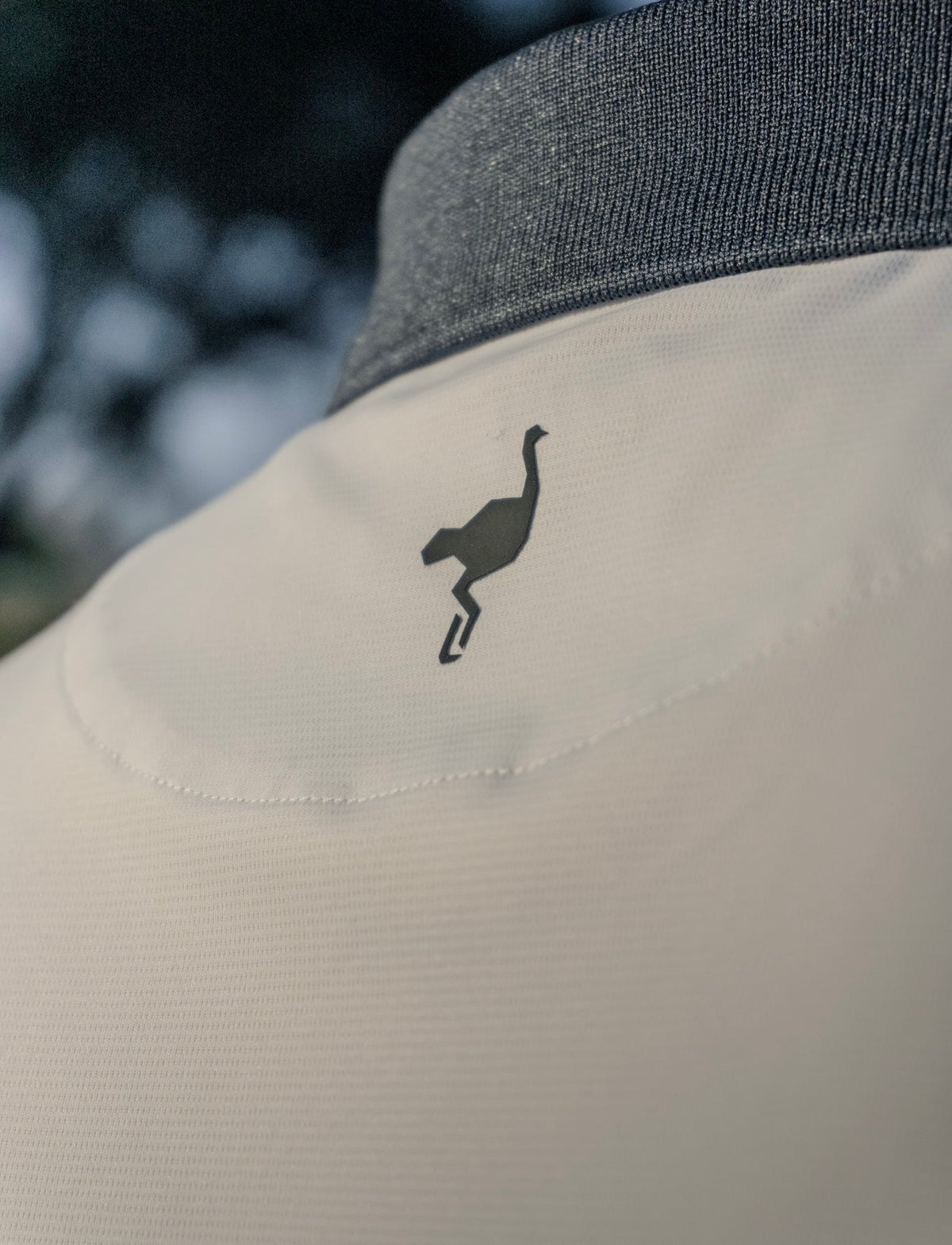 Golf dictionary: from par to the Ostrich