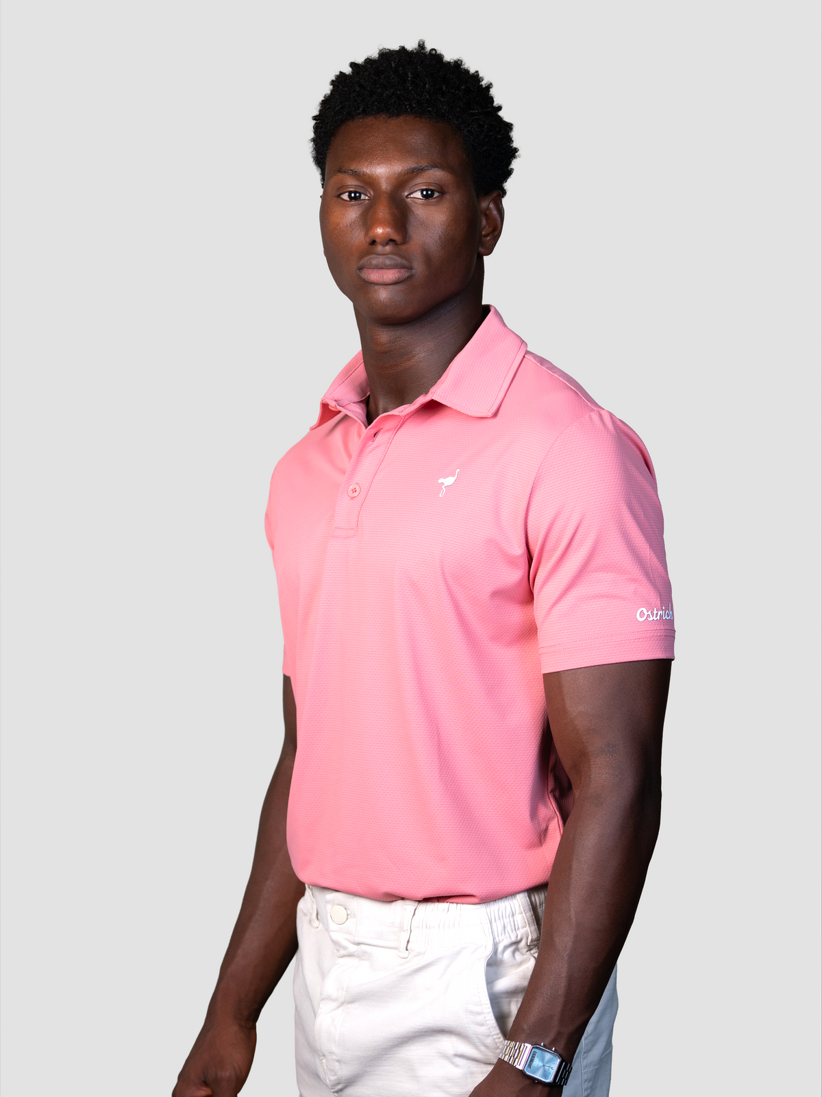 Polo Windsor Light