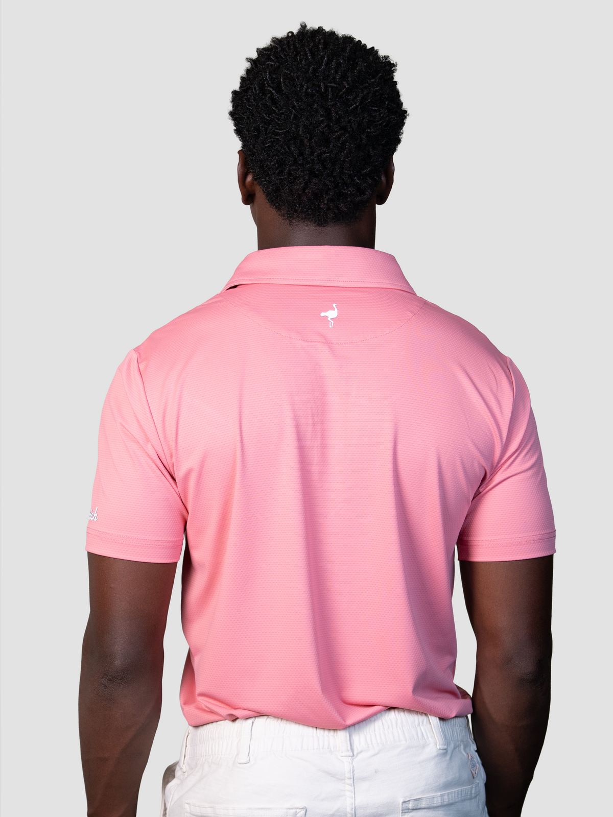 Polo Windsor Light
