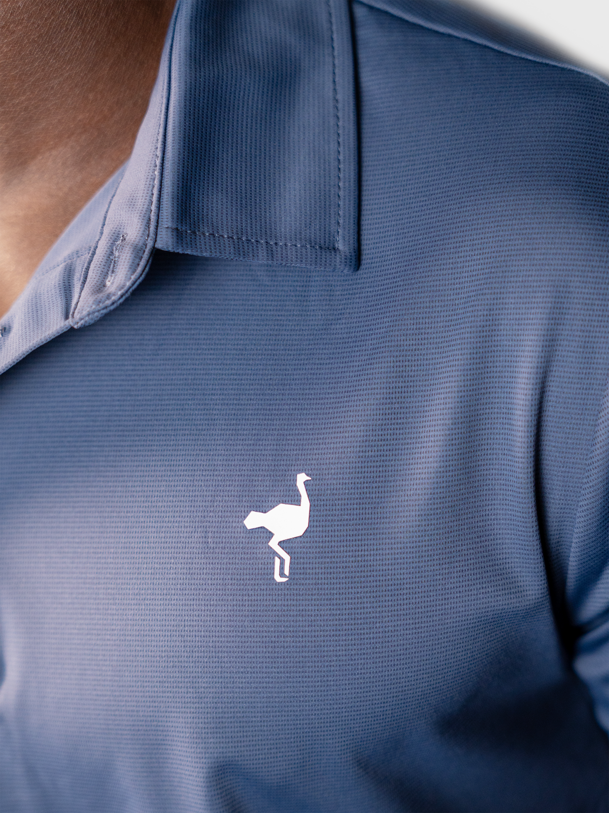 Polo Heritage