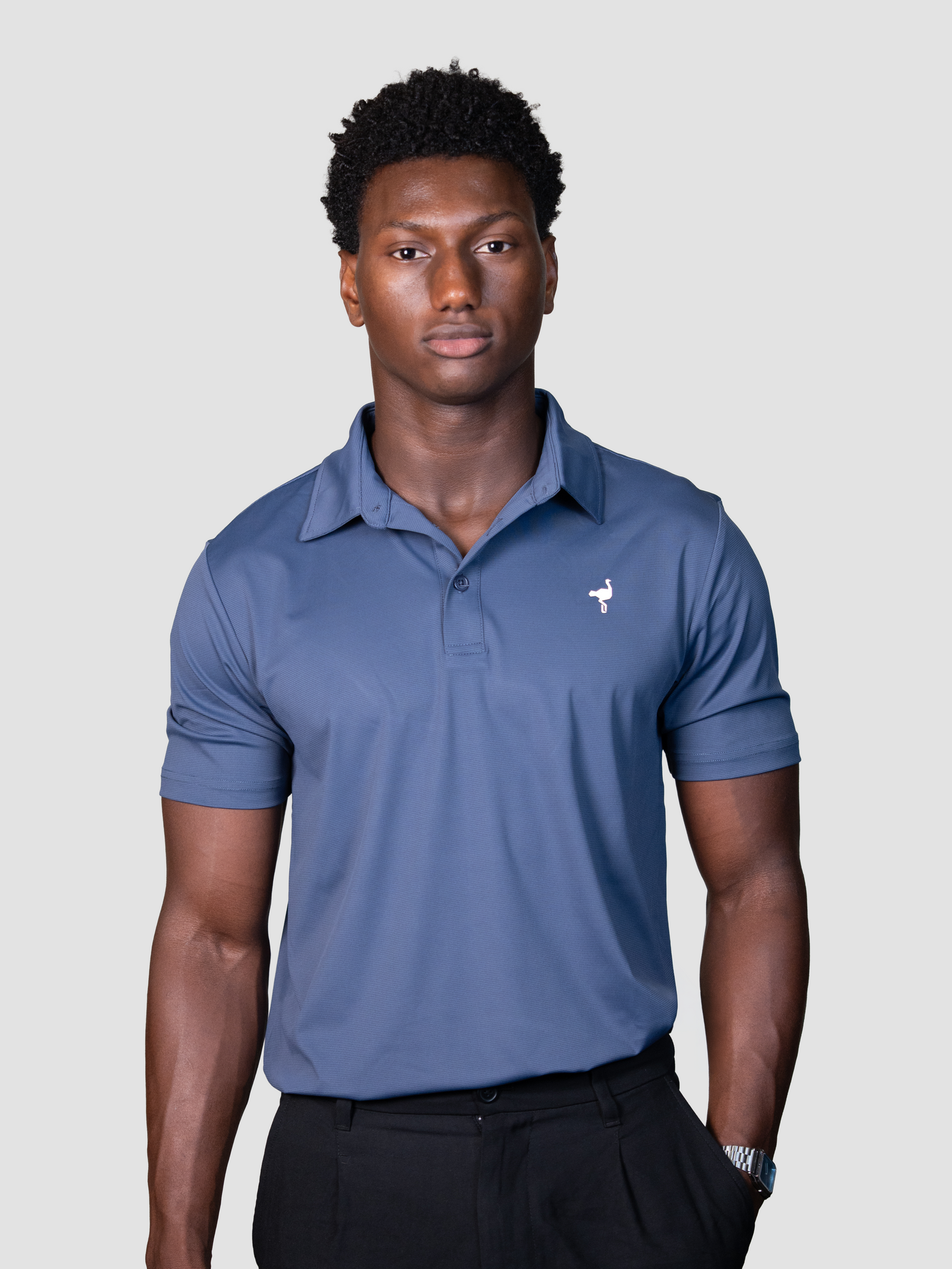 Polo Heritage