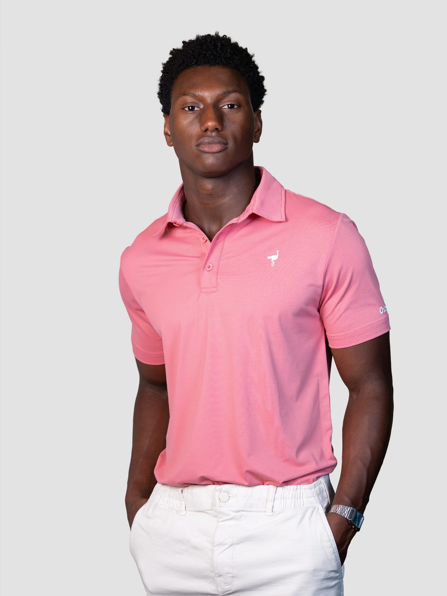 Polo Windsor Light