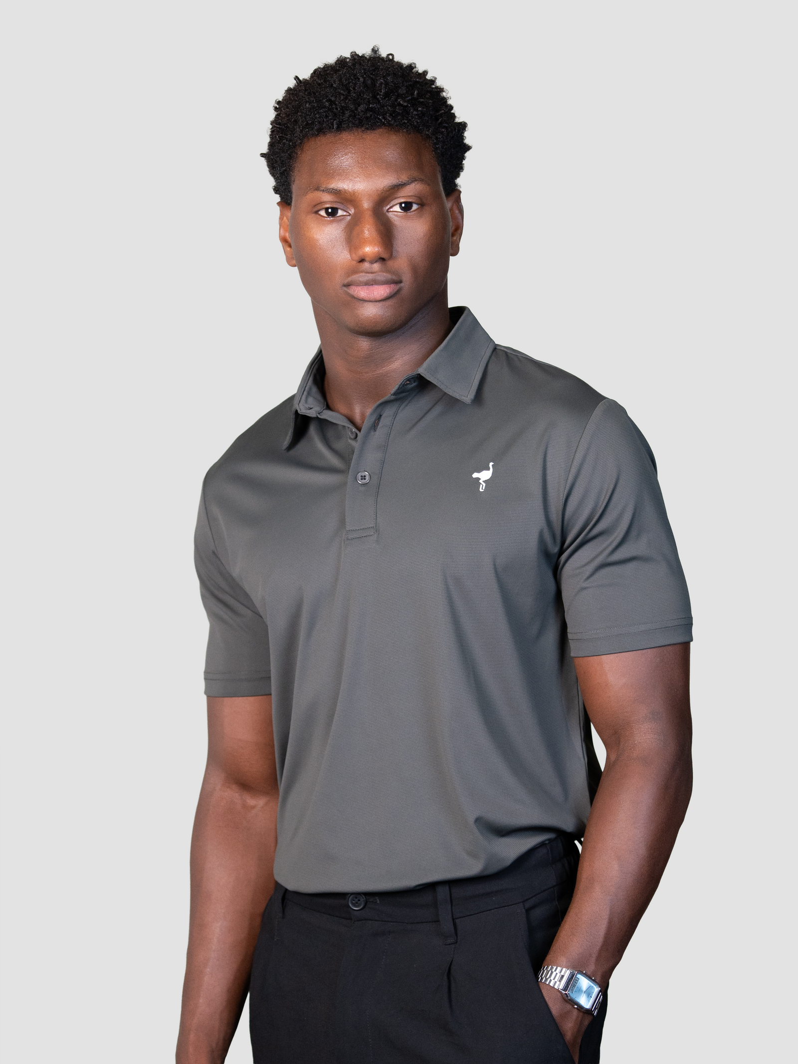 Polo Heritage