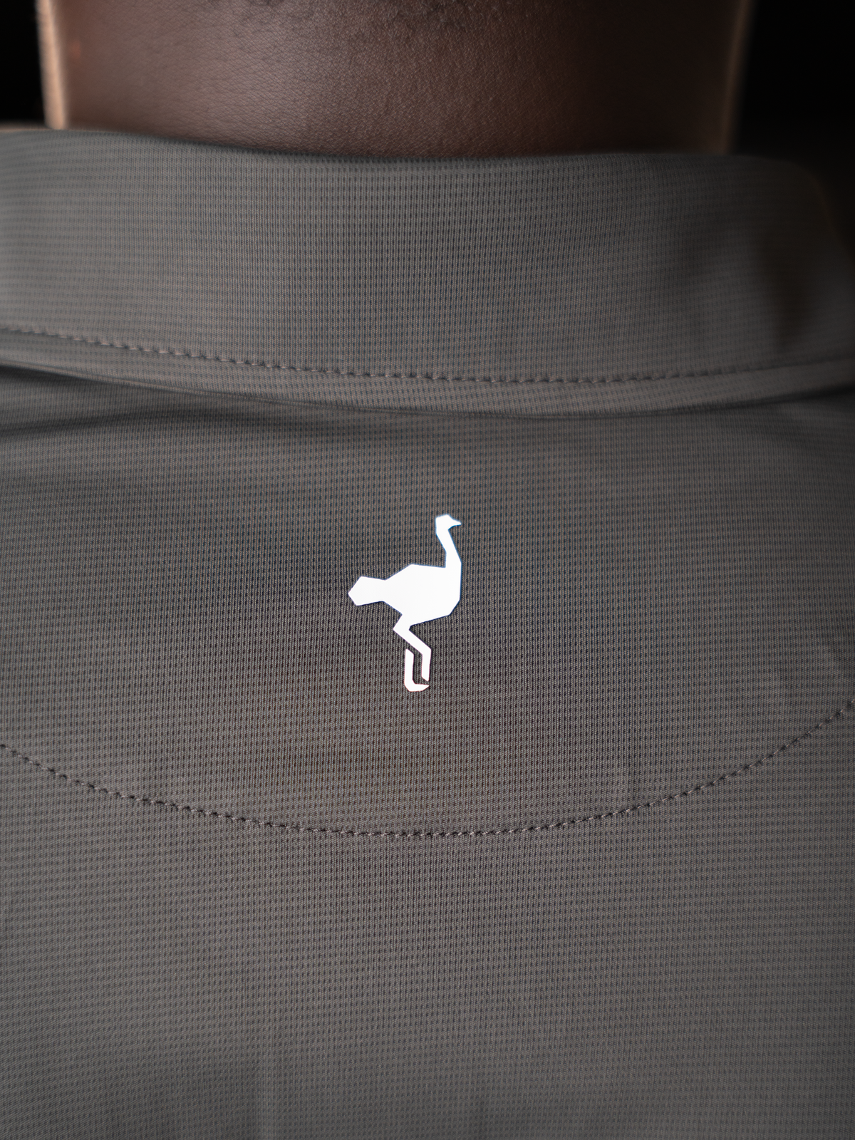 Polo Heritage
