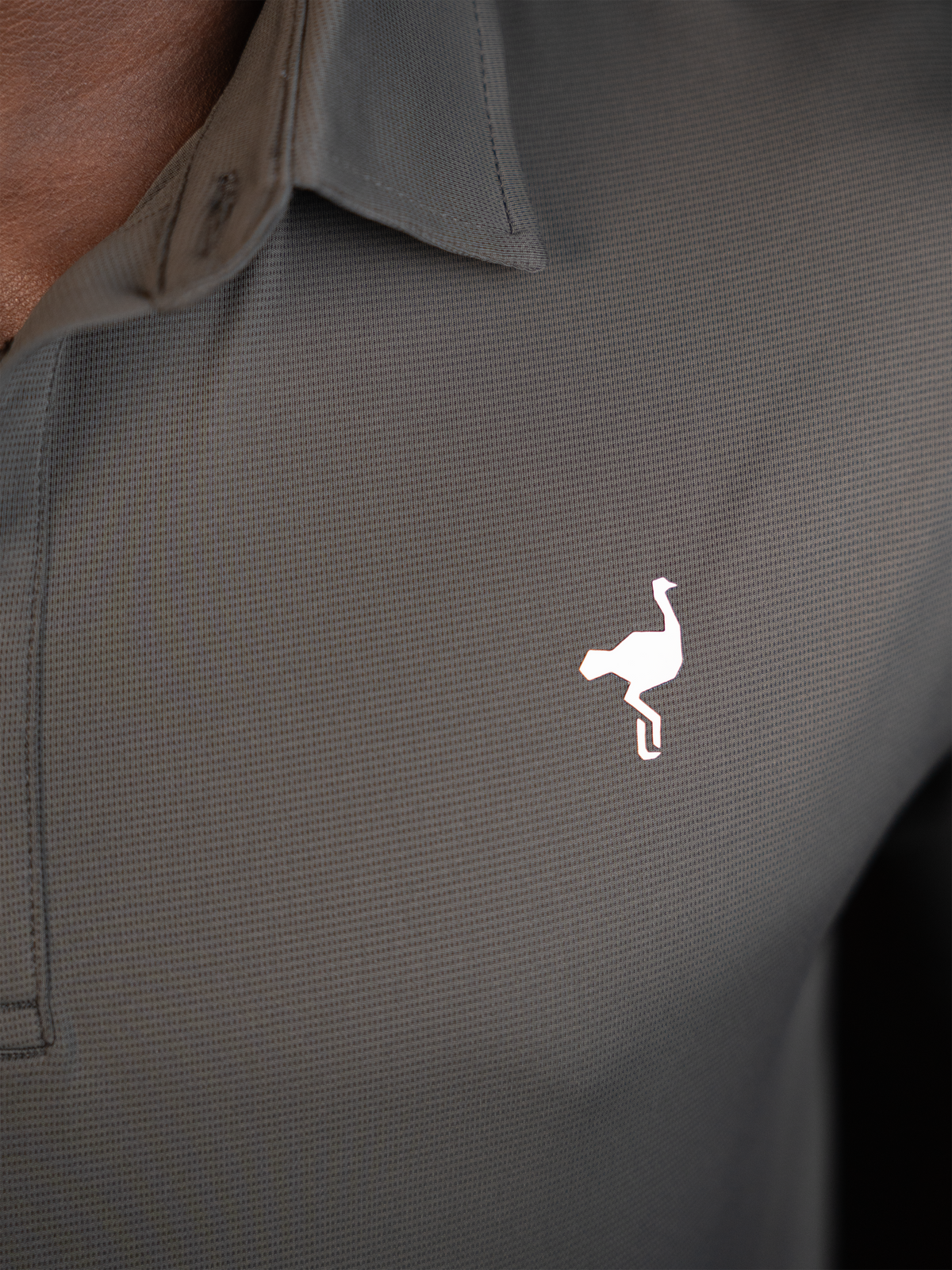 Polo Heritage