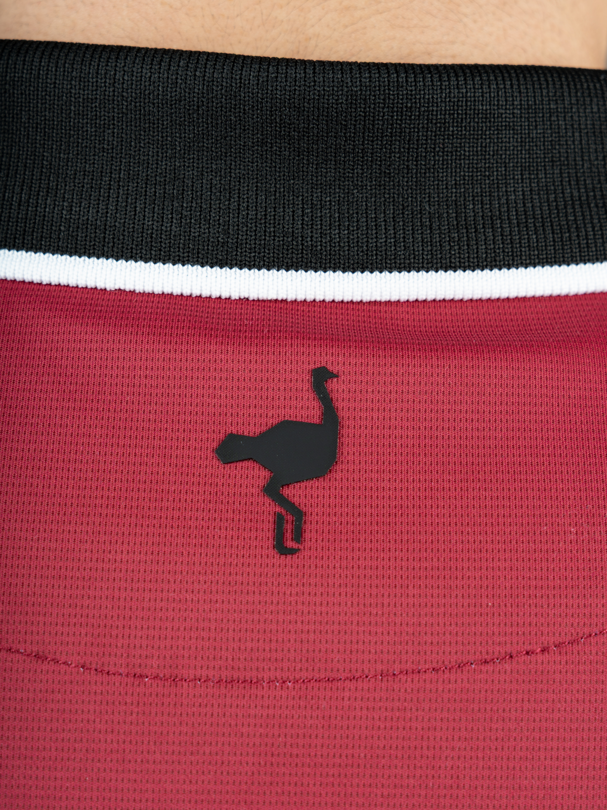 Polo Dynamic