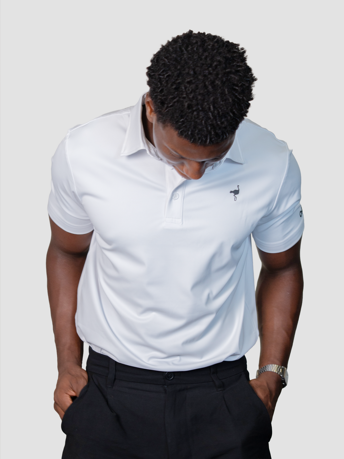 Polo Signature