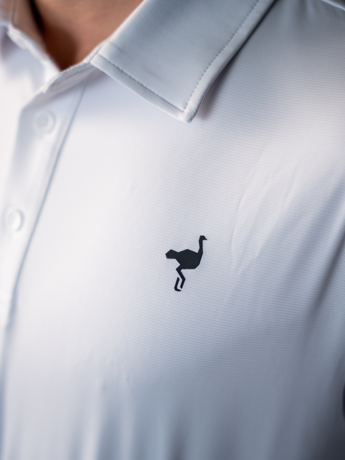 Polo Signature