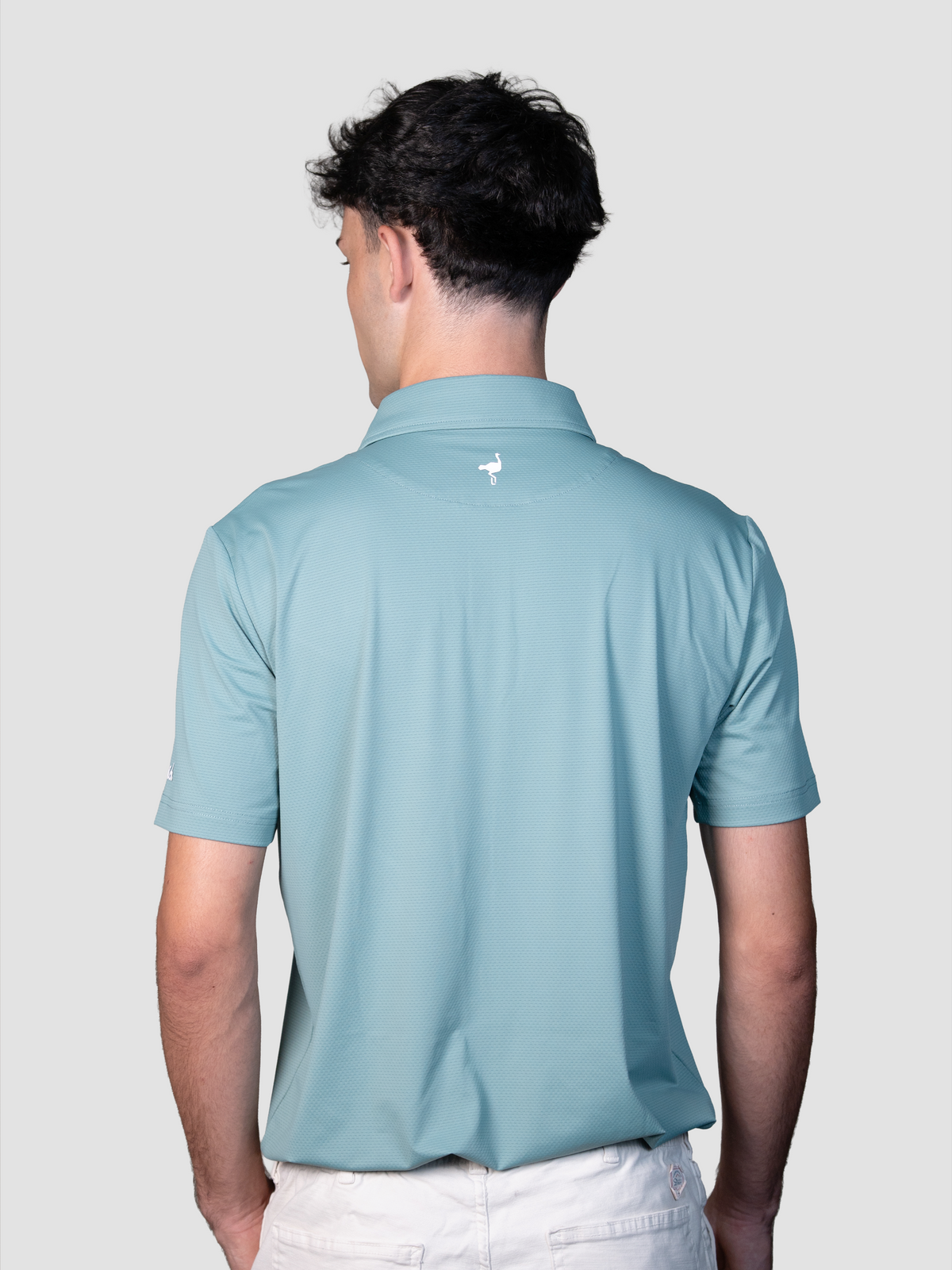 Polo Windsor Light