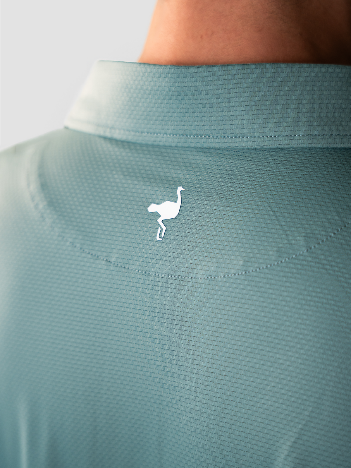 Polo Windsor Light